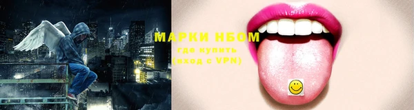 стаф Приозерск