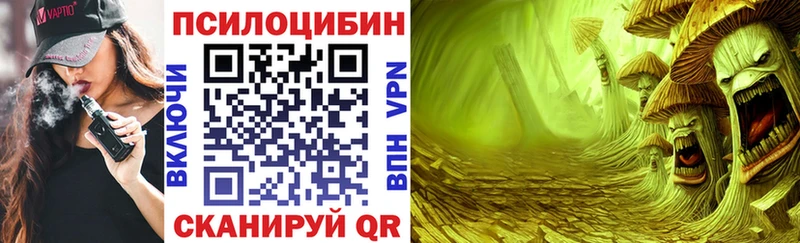 Псилоцибиновые грибы мицелий  hydra зеркало  Новоалександровск 