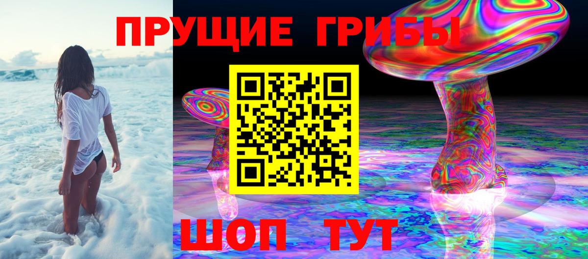 Псилоцибиновые грибы MAGIC MUSHROOMS Новоалександровск